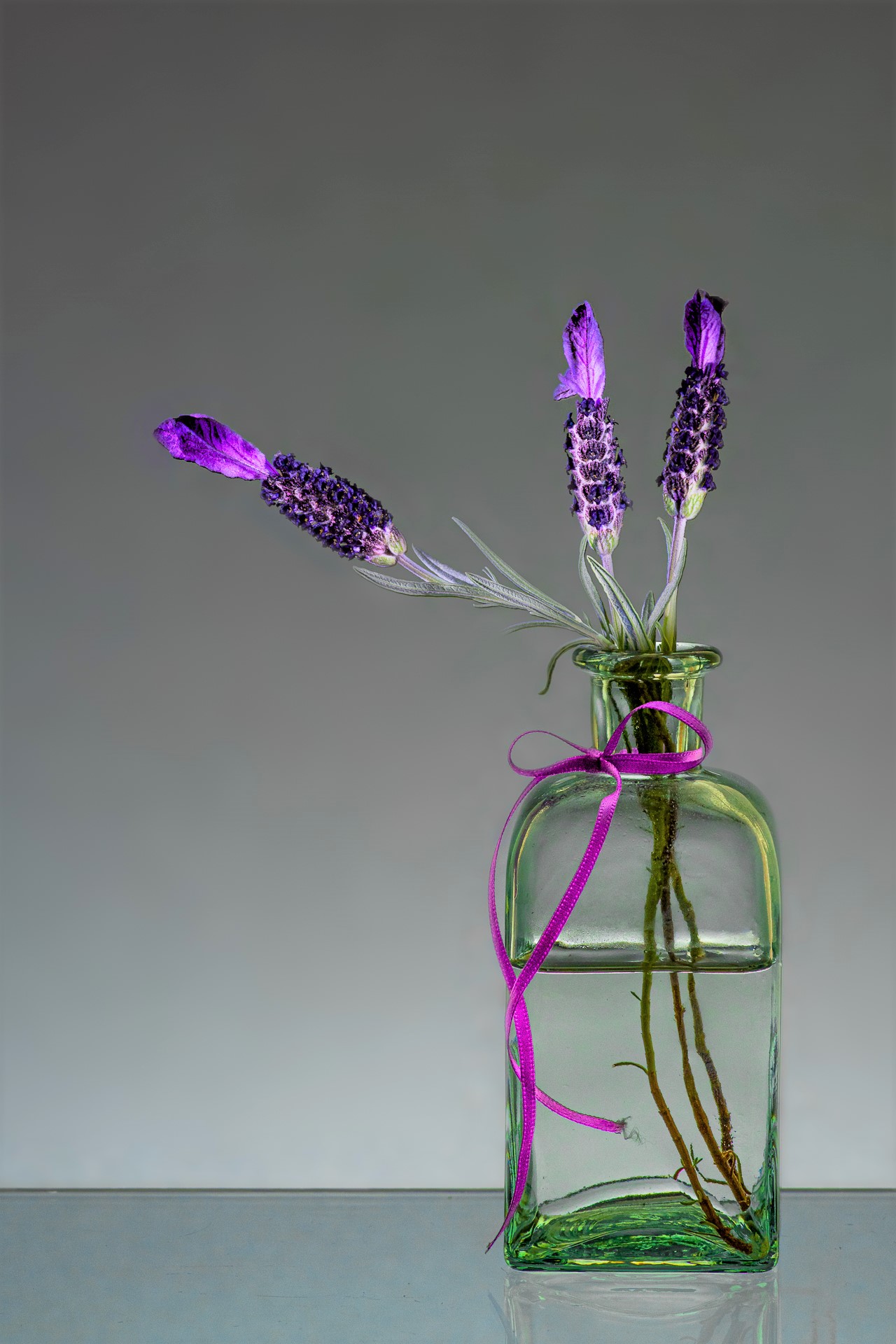 Jar of Lavender - Dave Kemp