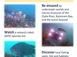 Robots and Reefs - exploring the Clyde River