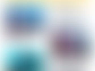 Robots and Reefs - exploring the Clyde River