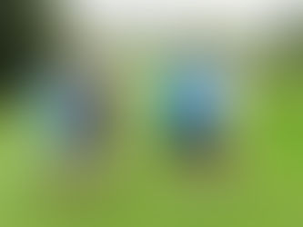 Tuross Head golfers commence Monthly Medal competition