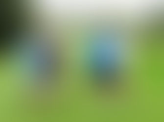 Tuross Head golfers commence Monthly Medal competition