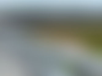 Presentation by Moruya Bypass Action Group to Public Access session March 1st 2022