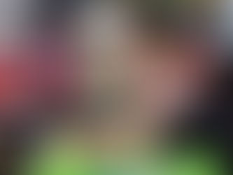 What’s best for the kitchen bin