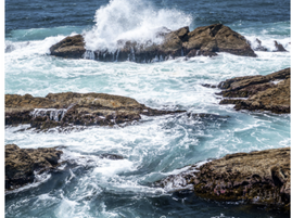 Beagle Weekender of January 29th 2022 OUT NOW