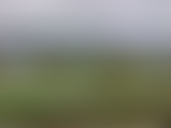 Sculpture on Clyde warns that Council's new requirements for compliance make the their event unw