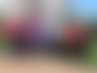 Eurobodalla – the Solar Coast