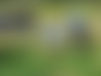 Community turn the first sods on the new hospital