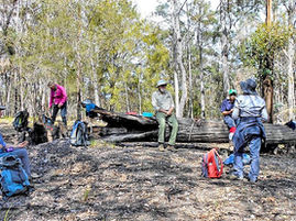 Dalmeny Narooma bushwalkers news
