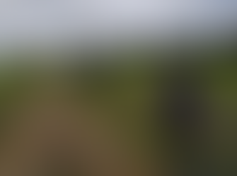 Coopers Island Road report to come before Council June 2nd