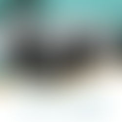 Council Meeting, Public Forum and Public Access Tuesday 8 November