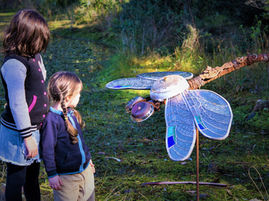 Eurobodalla Botanic Gardens monthly guided walk Sunday February 6th