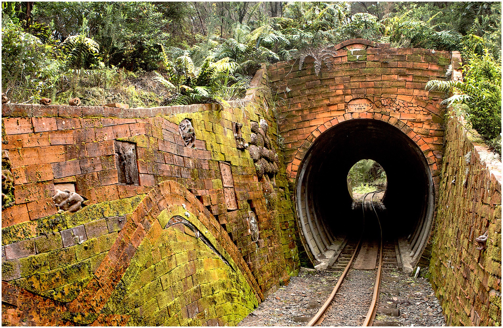 Tunnel vision - Colin Pass