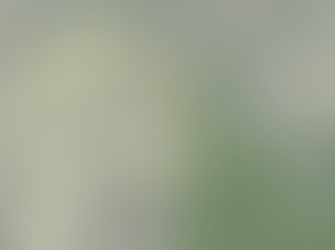 Congo Road North - the next step