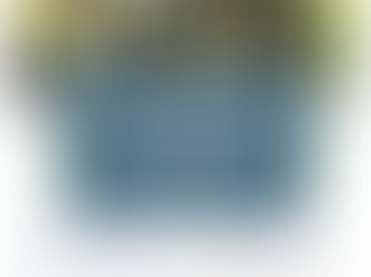 Learning with horses building community connections