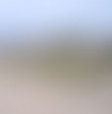 Grants Available For Local Councils To Help Manage Coastal And Estuary Environments