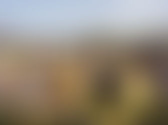 Aboriginal Community Shares Knowledge On Artefacts