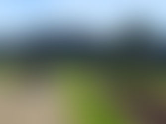 Bay Bushwalkers: Billy’s Hut & Gold Diggings