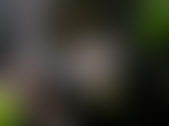 Eurobodalla Photographic Club news