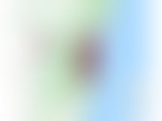 Thank you to the Essential Energy Crew