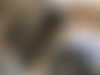 Mossy Cafe now has Tapas!