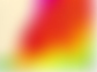 Tackle World Moruya Fishing report