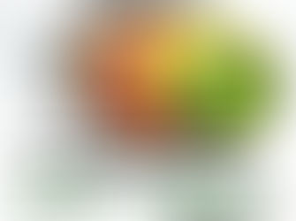 Family Fun Day at Moruya Tennis Club Nov 19th