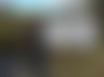 Stuart Whitelaw & Gillian Wilde At Gallery Bodalla