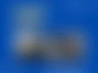 AMH Automotive Group Rally of the Bay Goes Online