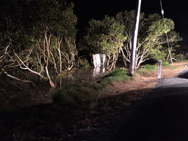 Car into mangroves at South Head Moruya