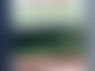 New Dogs on Long Beach signs