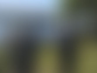 The Jockey and the Bridge over Troubled Waters - Ann Sudmalis and Scott Morrison in Nowra