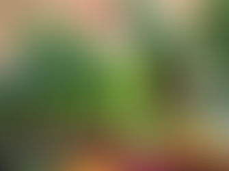 Access to locally grown food is about to become even easier