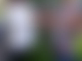 Joint effort improves natural environment