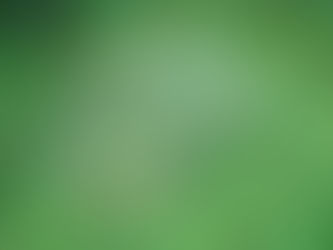 Cactus causing prickly problem