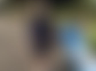 Tuross Head Ladies Golf Results