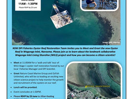 The Wagonga Inlet Living Shoreline (WILS) project