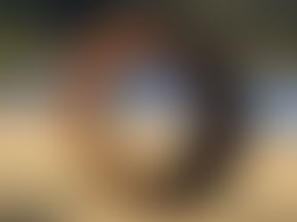 Sculptures for Clyde 2019 winners announced