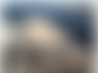 Tuross Marine Rescue - When it happens, it all happens at once.