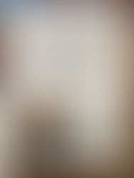 Rick Fundraisers - Feb 19th and 26th