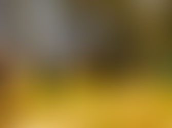 Dalmeny/Narooma Bushwalkers Report