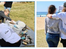 Clear Tides discover Narooma : and fall in love with our wildlife