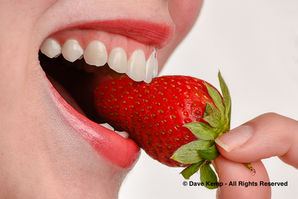 Eurobodalla Photographic Club, October Meeting