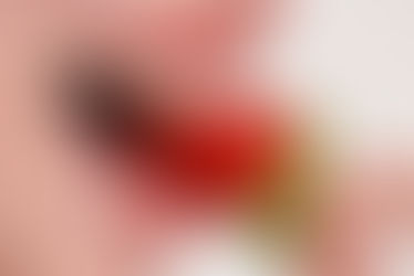 Eurobodalla Photographic Club, October Meeting