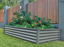 Veggies for All – NAROOMA Sep 30th