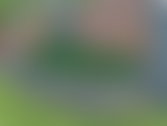 Veggies for All – NAROOMA Sep 30th