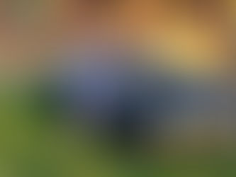 Cobar Mayor on her way for ‘Raindance Eurobodalla’ this Friday