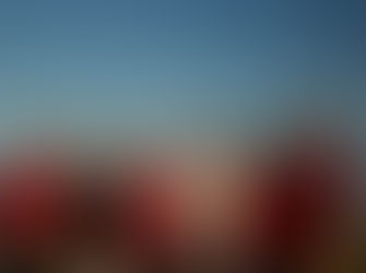 Strong Labor team standing for Eurobodalla Shire Council