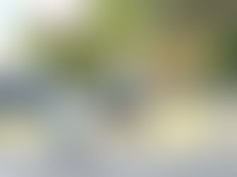 3x3 basketball makes its return to Eurobodalla