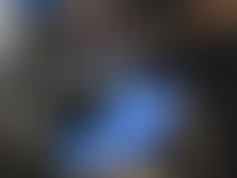 Fiona Kotvojs has conceded defeat in Eden Monaro by-election