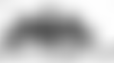 Moruya & District Historical Society - Dec 2nd 1916